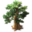 Tree #4